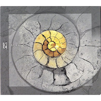 Iļģi "Agrie Gadi" 2LP Iļģi "Agrie Gadi" 2LP