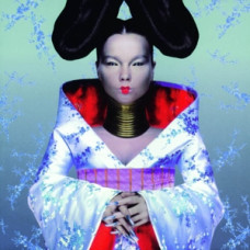 Bjork Homogenic