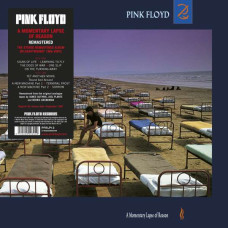 Pink Floyd A Momentary Lapse of Reason