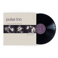Pulse Trio "now is all we have"