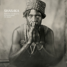 Shabaka "Perceive Its Beauty, Acknowledge Its Grace"