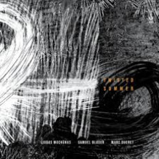 Mockunas Liudas, Blaser Samuel, Ducret Marc "Twisted Summer"